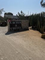 Das Kaktus Kaffee