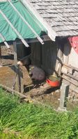 IMG-20240829-WA0038.jpg
