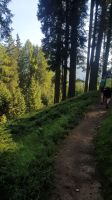 IMG-20240830-WA0036.jpg