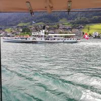 Unsere Schwester Gallia