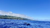 Azores, Portugal