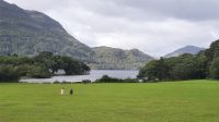 Muckross Garden