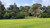 Muckross Garden