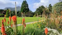 Muckross Garden
