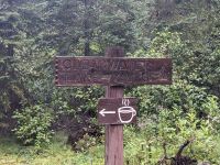 65. Regenpause im Wells Gray Provincial Park