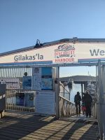 142. Fakultative Bärentour