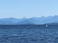 147. Fakultative Bärentour