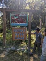 156.1 Fakultative Bärenbeobachtung