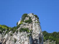 Inselrundfahrt Capri