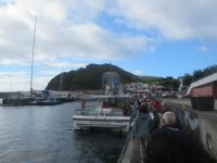 Unser Katamaran - Whale Watching Tour - Horta, Faial Azoren 