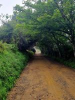 Erste Impressionen Sark (1)