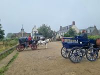 Erste Impressionen Sark (4)