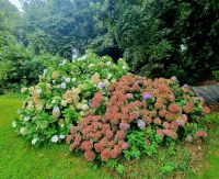 Gärten der Seigneurie (1)