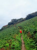 Impressionen Klippenwanderweg (6)