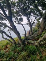 Impressionen Klippenwanderweg (8)