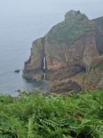 Impressionen Klippenwanderweg (14)