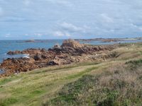 Fort Hommet  (8)
