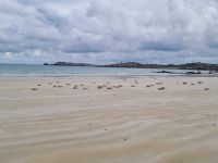 Pembroke Bay (1)