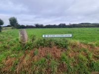 Stimmungsmomente (2)