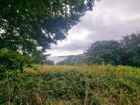 Stimmungsmomente (3)