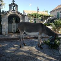 Sie gehört auch dazu