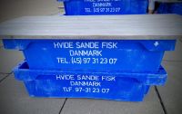 0501 Hvide Sande
