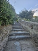 und viele Treppen abwärts auf dem Ameisenweg