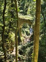 weiter durch den Märchenwald