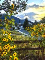 Kirche von Kranjska Gora