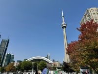 6. Tag – Stadtrundfahrt Toronto – CN Tower und Rogers Arena
