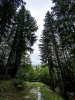 An der russischen Kapelle am Vrsic Paß