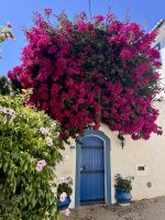 Tag 3 - Blumenpracht in Burgau