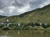 steile Weinberge entlang der Mosel