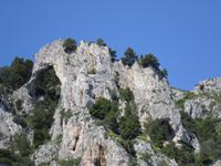 Inselrundfahrt Capri