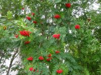 Hurtigruten: Kirkenes: Rundgang