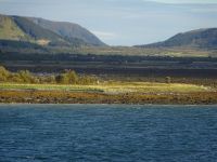 Hurtigruten: unterwegs gen Süden