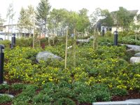 Hurtigruten: Brönnöysund: Rundgang