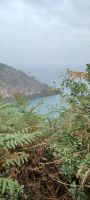 auf dem Weg zu Little Sark