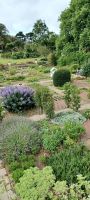 Botanischer Garten in St. Helier