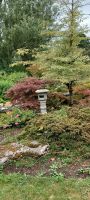 Botanischer Garten in St. Helier