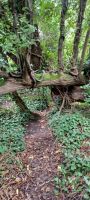 Botanischer Garten in St. Helier