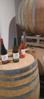 Weinprobe