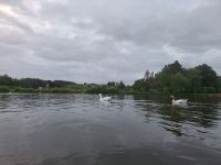 Bonn und Abreise