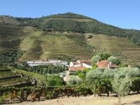 eines der vielen Douro Weingüter