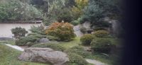 Bonsai Garten
