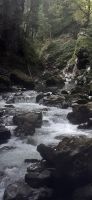 Breitachklamm