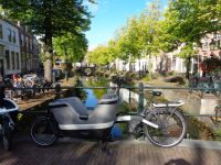 Havik, Amersfoort, Niederlande