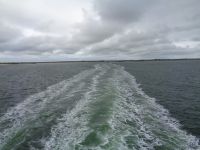 Auf der Fähre, Texel, Niederlande