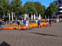 Käsemarkt, Alkmaar, Niederlande