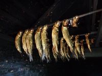 Hering im Dachstuhl, Zuiderzeemuseum, Enkhuizen, Niederlande